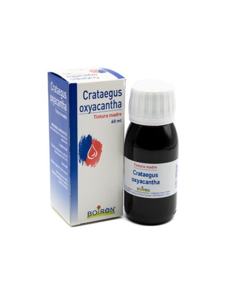 Crataegus Oxycantha Tintura Madre 60 ml
